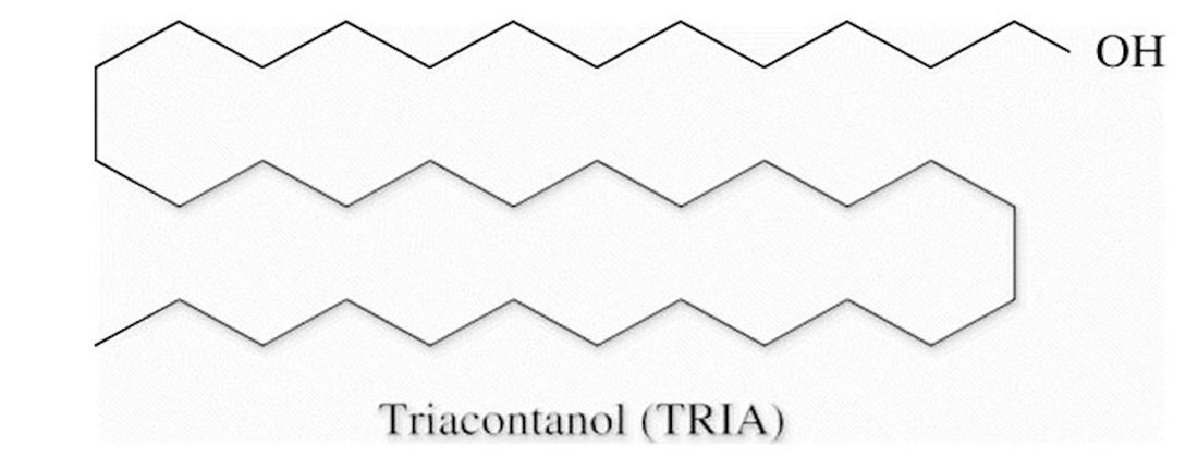 Triacontanol and its effects in plants - A-Grade Hydroponics