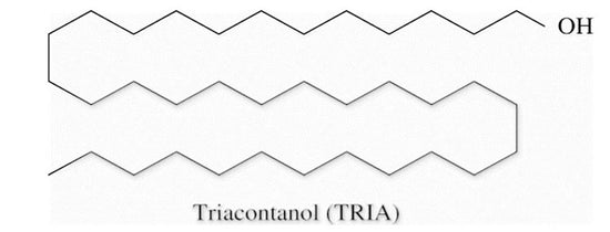 Triacontanol and its effects in plants - A-Grade Hydroponics