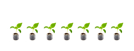 How to Hydroponics | A-Grade Hydroponics