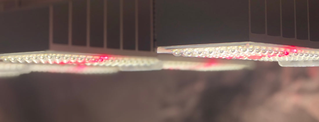 Choosing Hydroponic Grow Lights for Your Grow Room - A-Grade Hydroponics