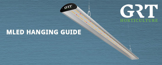 Light Hanging Guide: How high should my MLED-150s be?