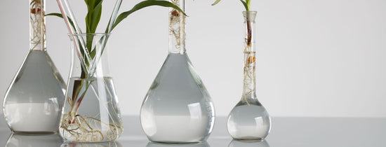 Hydroponics? - A-Grade Hydroponics