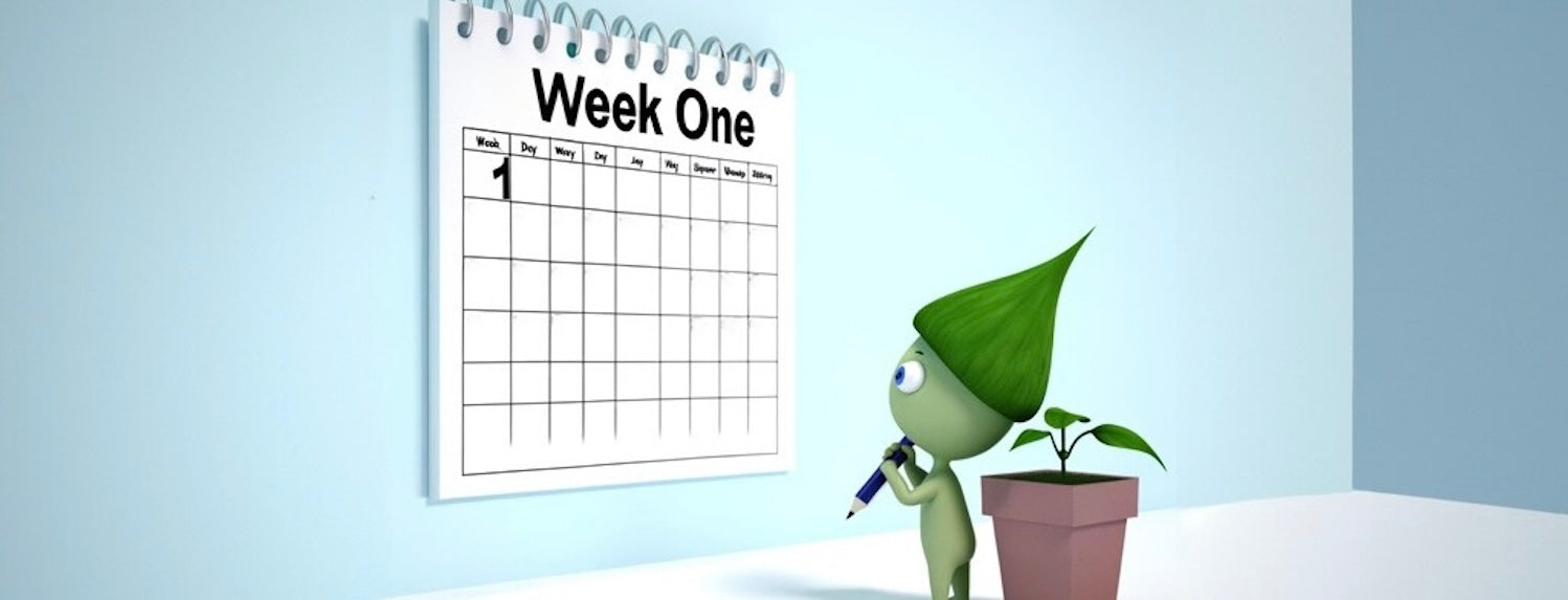 What is week one of feeding? - A-Grade Hydroponics