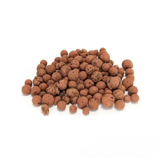 Colossal Clay - A-Grade Hydroponics