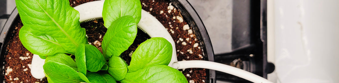 Hydroponic Irrigation