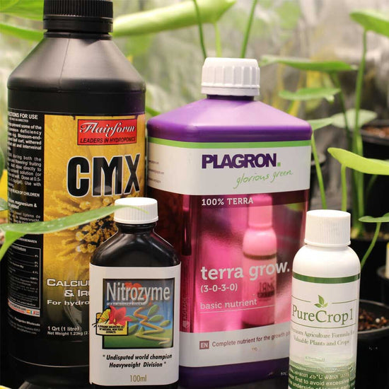 Monstera Care Package - A-Grade Hydroponics