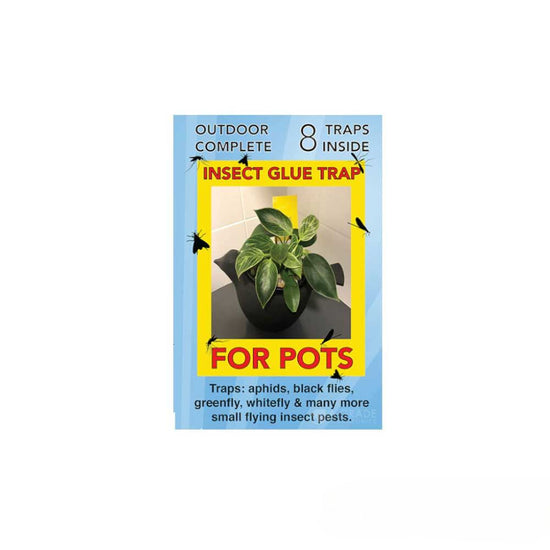 OUTDOOR COMPLETE - Insect Glue Trap – For Pots - A-Grade Hydroponics