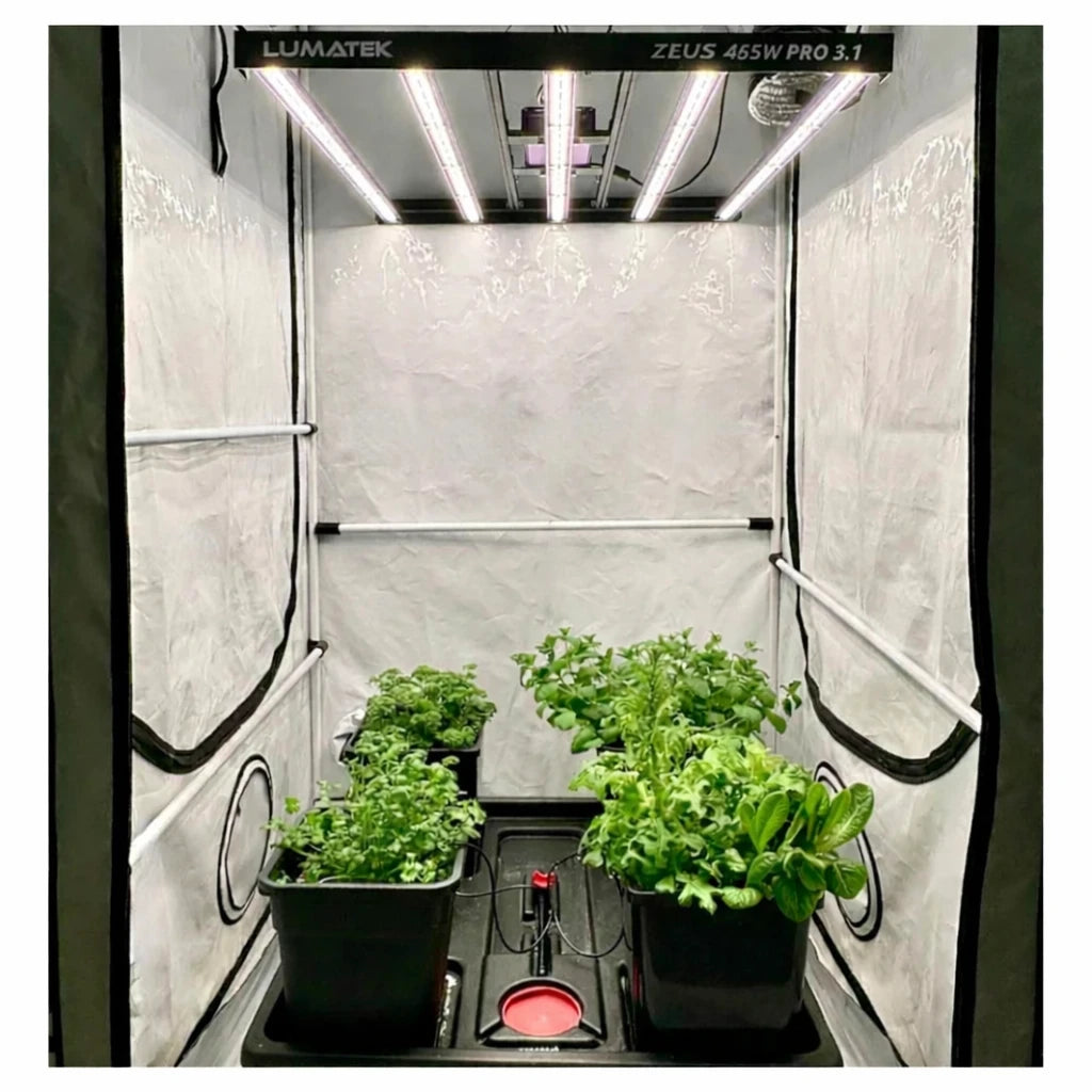 Indoor hydroponic grow tent with leafy green plants under Lumatek Zeus 465W LED grow light system.