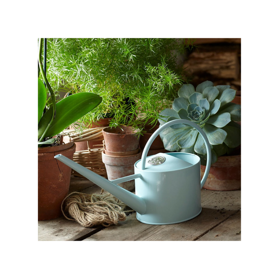 Sophie Conran soft blue indoor watering can displayed on a rustic wooden surface among potted houseplants and garden twine.