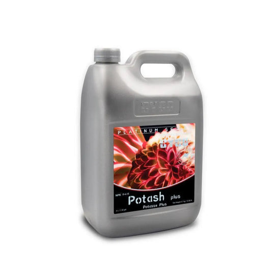 CYCO Potash Plus early bloom additive 5L hydroponic solution, enhances water retention and improves yields in flowering stage
