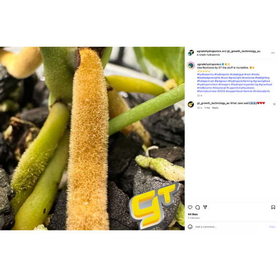 Growth Technology Rootzone|250ml|1L - A-Grade Hydroponics