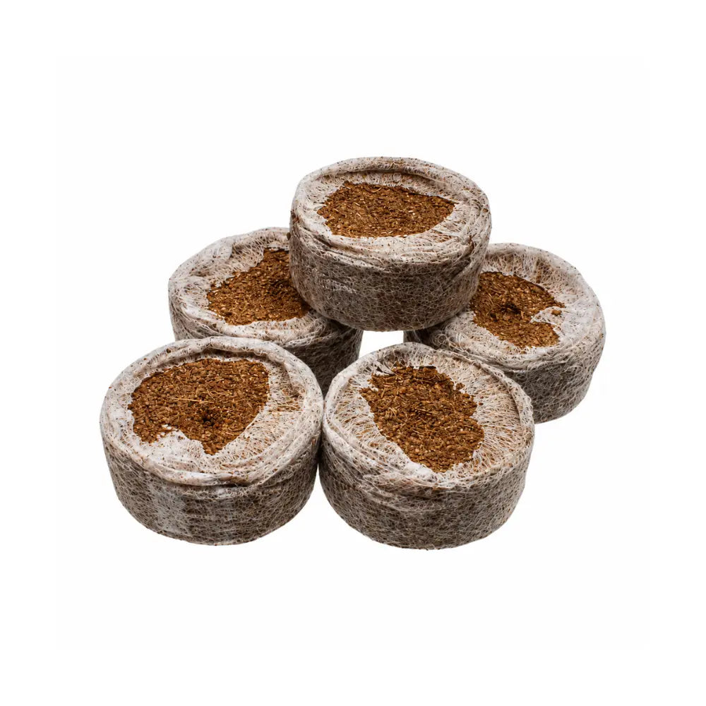 Five JIFFY 7C 35mm coir pellets grouped together, dehydrated peat-free propagation pellets in fine mesh netting
