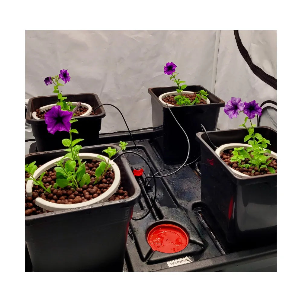 4 pot hydroponic drip system with flowering plants, recirculating dripper setup for indoor grow tent