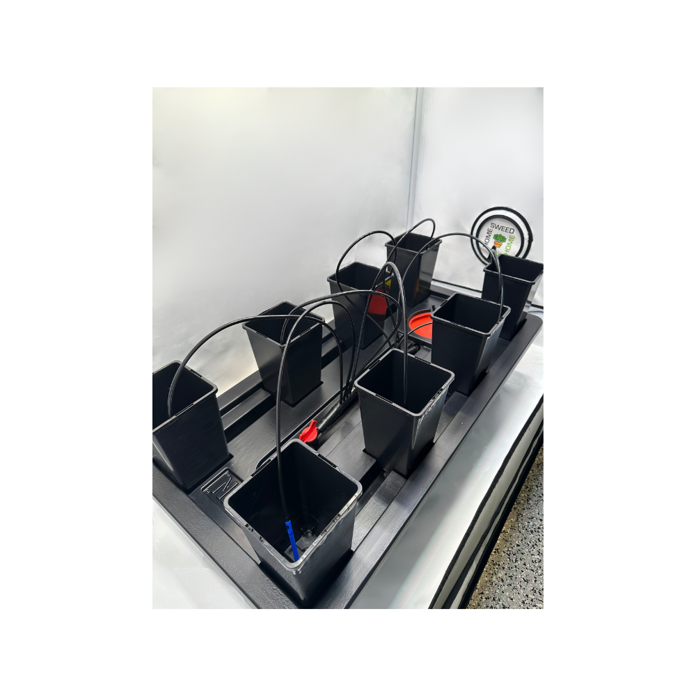 The Origin Mini Fits Perfectly in The Homebox Ambient R120S