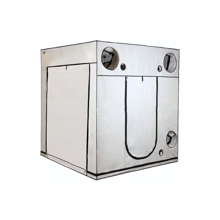 HOMEbox Ambient Q200 Grow Room - A-Grade Hydroponics