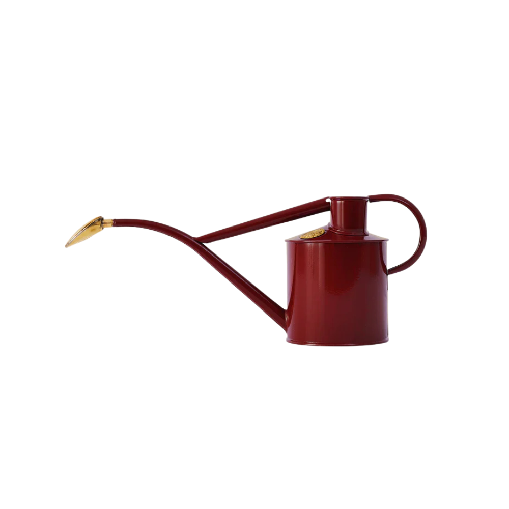 Burgundy Haws Rowley Ripple watering can with a long curved spout and brass rose attachment, designed for indoor gardening.