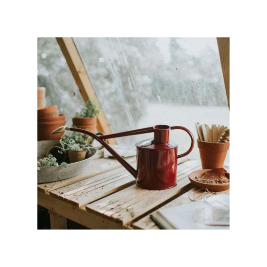 Burgundy Haws Rowley Ripple watering can on a wooden potting bench in a greenhouse, surrounded by gardening tools and potted plants.