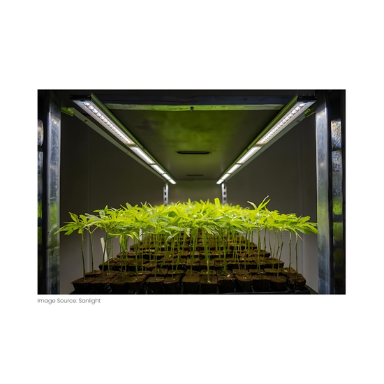 SANlight Flex II 40W Set of 2 - A-Grade Hydroponics