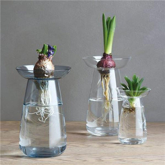 KINTO Aqua Culture Vase Small/Clear