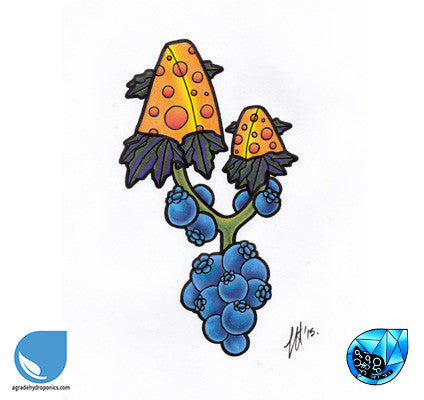 Blue Cheese