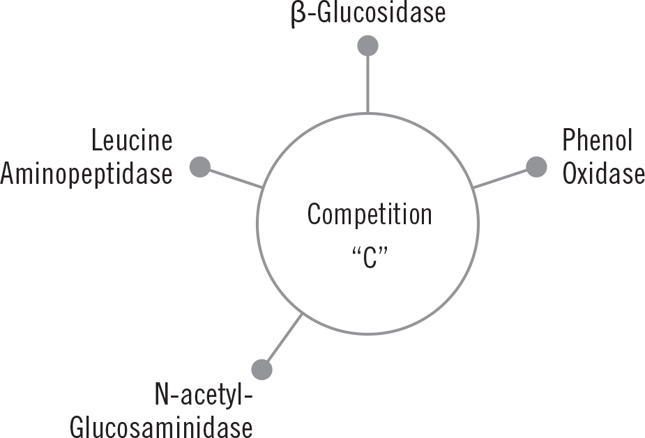 Mammoth P - A-Grade Hydroponics