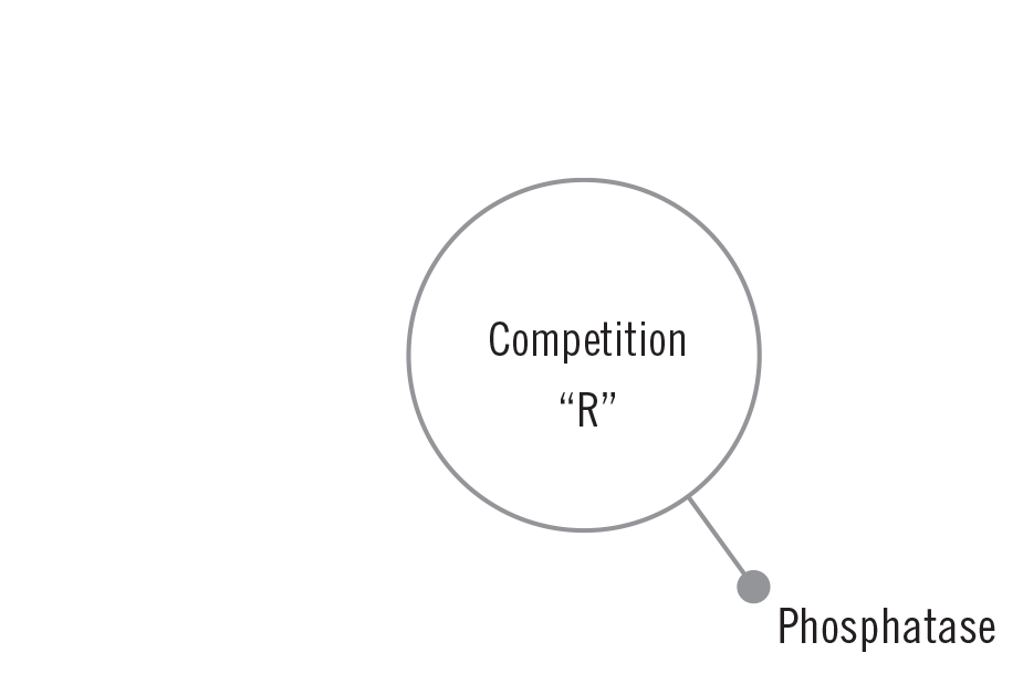Mammoth P - A-Grade Hydroponics