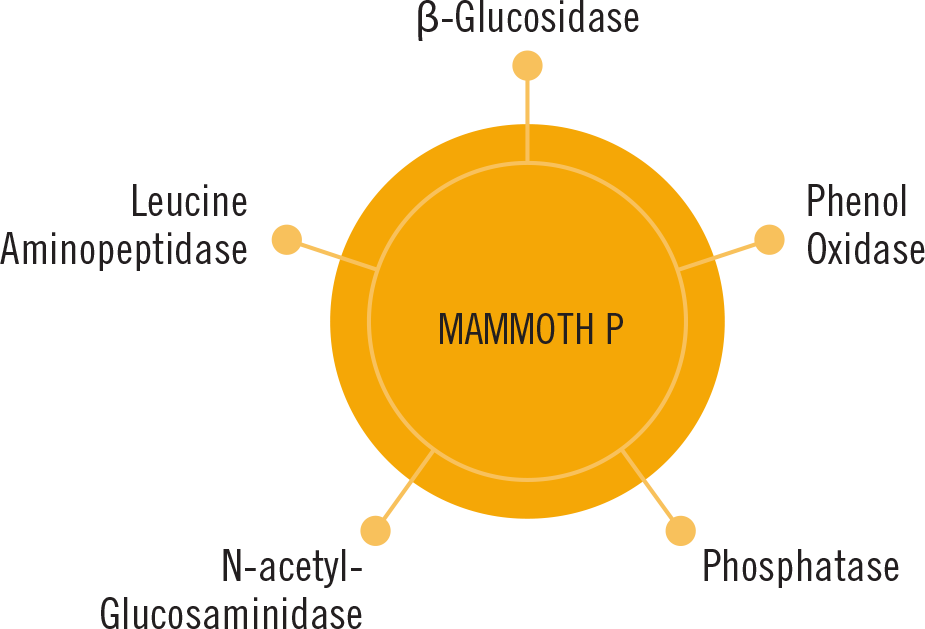 Mammoth P - A-Grade Hydroponics