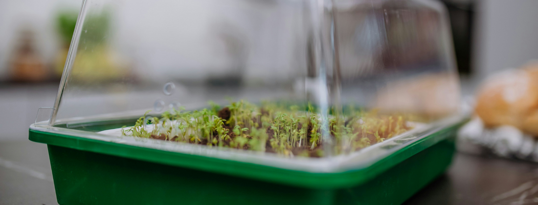 How do hydroponic grow kits work?