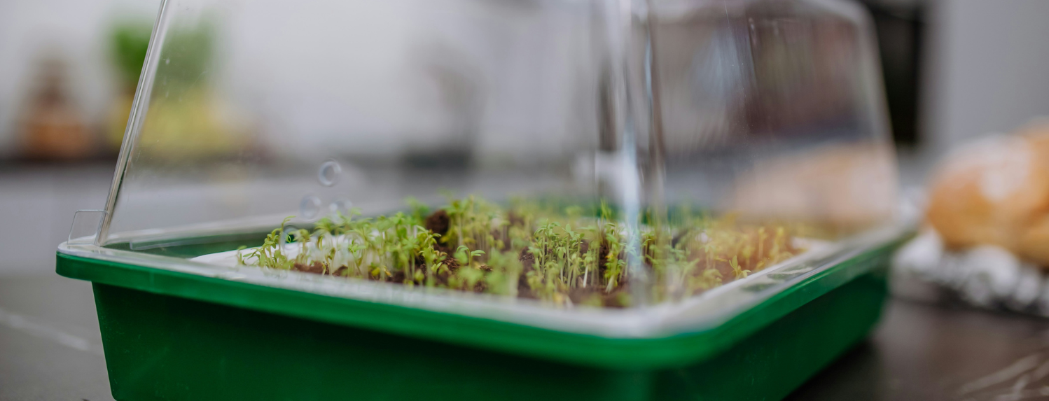 How Do Hydroponic Grow Kits Work?