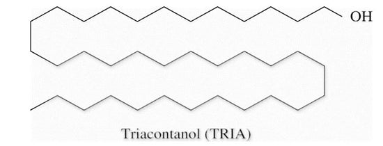 Triacontanol and its effects in plants