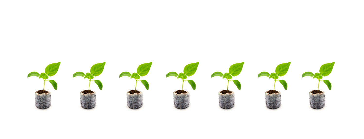 How to Hydroponics | A-Grade Hydroponics