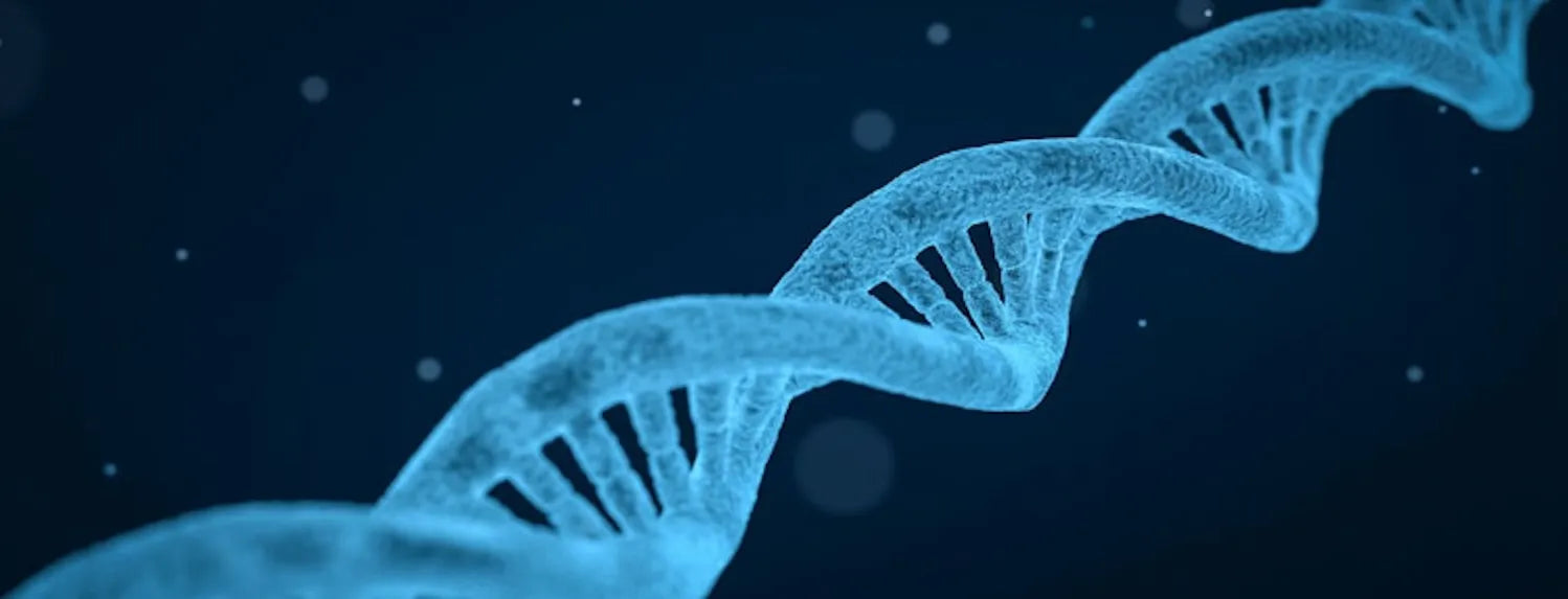3D illustration of a DNA double helix on a dark blue background — plant genetics and modes of inheritance in hydroponic breeding