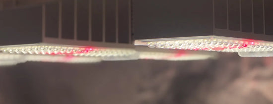 Choosing Hydroponic Grow Lights for Your Grow Room