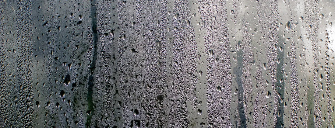 Heavy condensation and water droplets forming on a glass surface, illustrating high humidity and low VPD conditions in a grow room environment