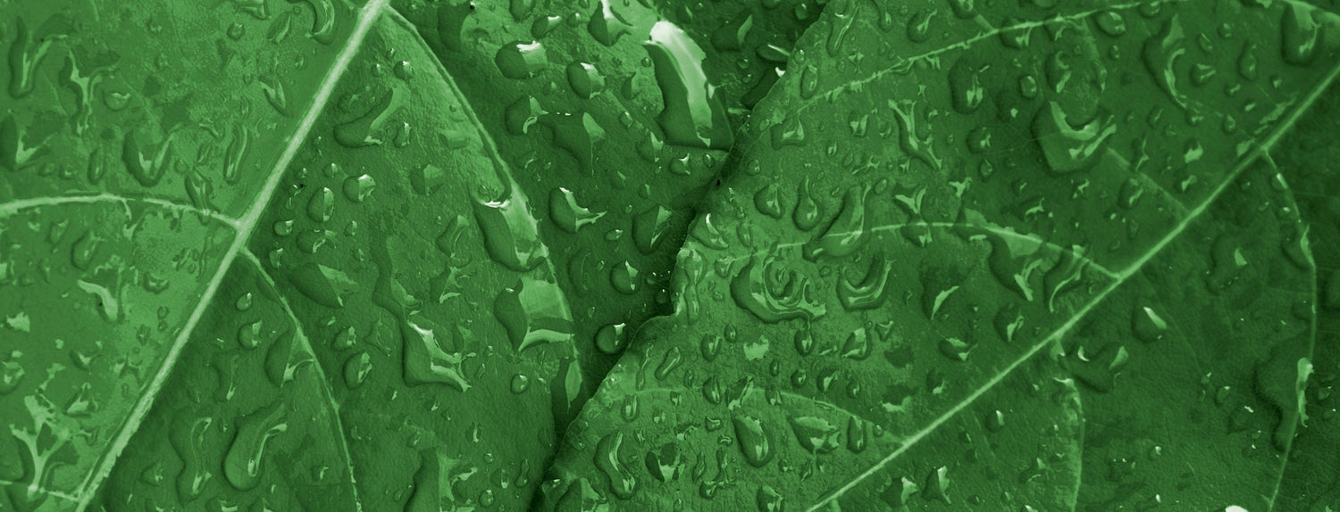 Humidity in your grow room - A-Grade Hydroponics