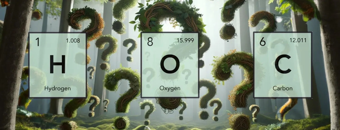 Concept image of carbon, oxygen and hydrogen elements in forest setting, highlighting essential non-mineral nutrients for photosynthesis, energy production and hydroponic plant growth Australia