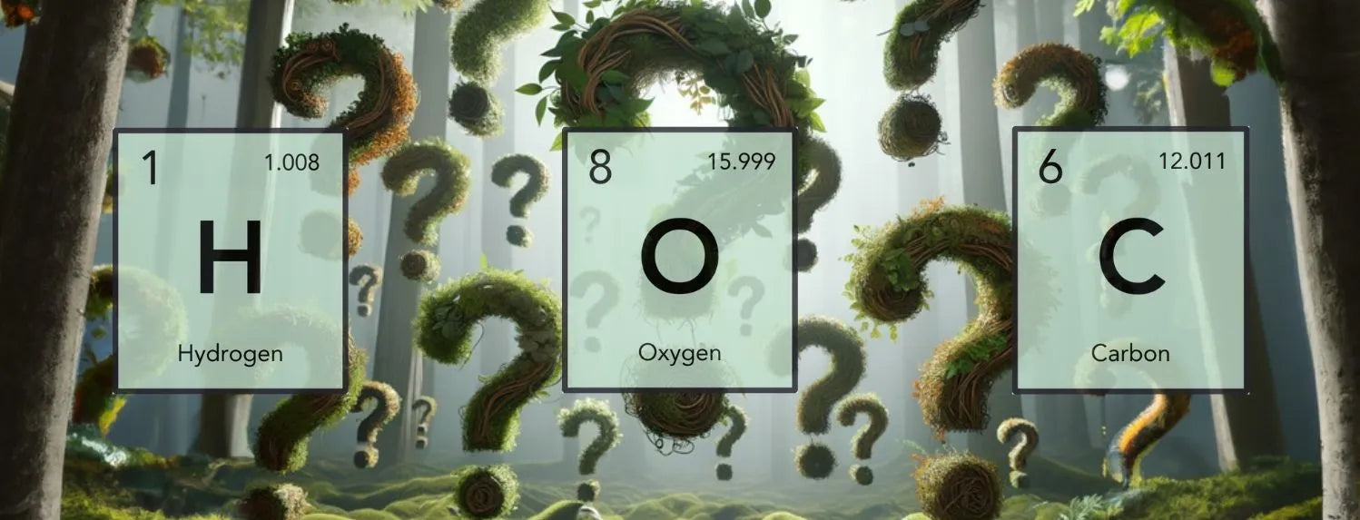 Concept image of carbon, oxygen and hydrogen elements in forest setting, highlighting essential non-mineral nutrients for photosynthesis, energy production and hydroponic plant growth Australia