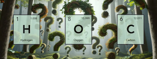 Concept image of carbon, oxygen and hydrogen elements in forest setting, highlighting essential non-mineral nutrients for photosynthesis, energy production and hydroponic plant growth Australia