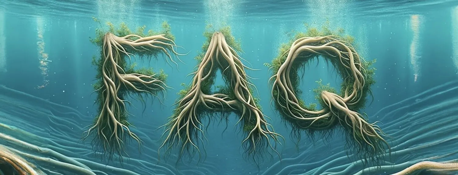 Hydroponics FAQ underwater root typography with plant roots forming FAQ letters in nutrient-rich water for hydroponic growing guides and beginner FAQs.