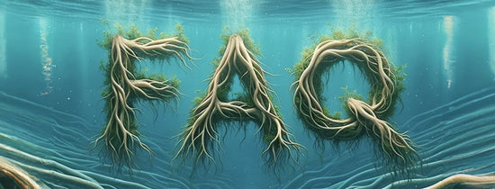 Hydroponics FAQ underwater root typography with plant roots forming FAQ letters in nutrient-rich water for hydroponic growing guides and beginner FAQs.