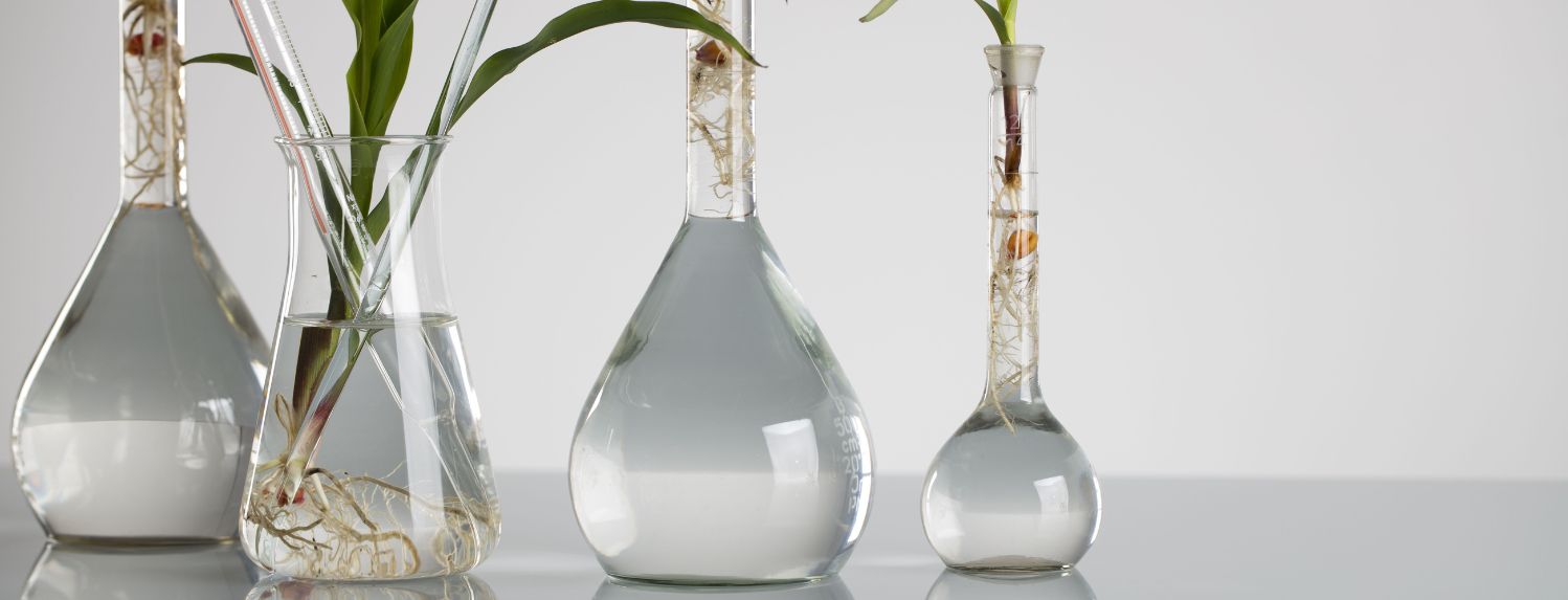 Hydroponics? - A-Grade Hydroponics