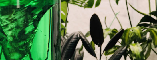 Close-up of green nutrient solution swirling in a hydroponic reservoir beside indoor plants, highlighting liquid fertiliser mixing and nutrient circulation in hydroponic systems.