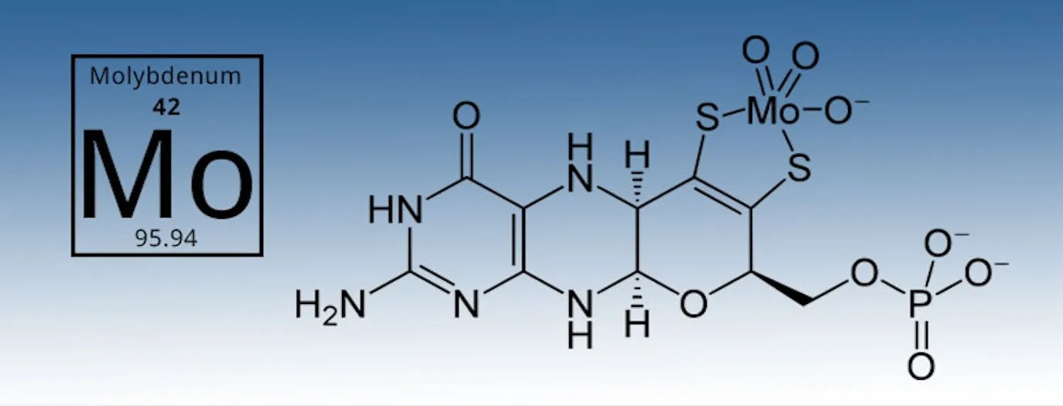 Molybdenum deficiency diagram with Mo element and chemical structure, highlighting micronutrient role in hydroponic plant nutrition and deficiency symptoms