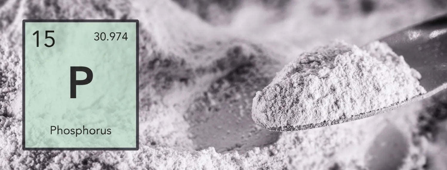 Close-up of phosphorus nutrient powder with periodic table symbol, essential hydroponic fertiliser for root development and plant growth in hydroponic systems Australia