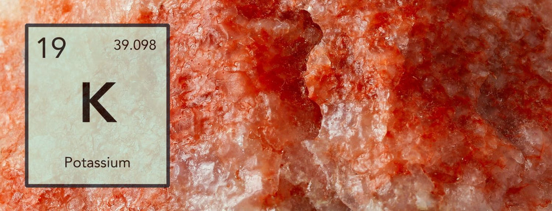 Potassium and Plants