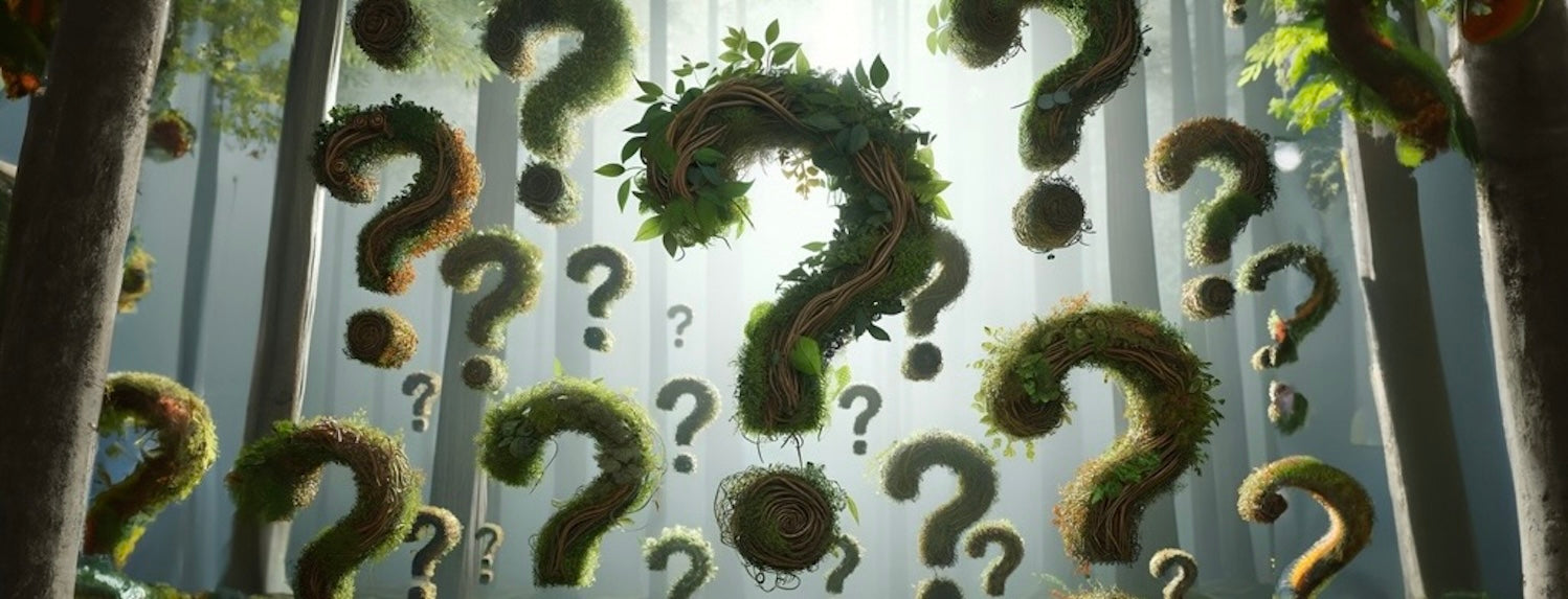 Things that can go wrong and what to do