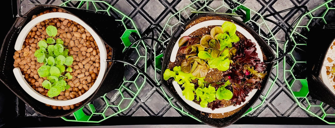 Run to Waste (RTW) vs Recirculating Systems