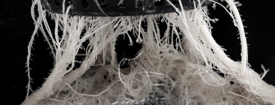 GROWING IN DEEP WATER CULTURE (DWC) - A-Grade Hydroponics