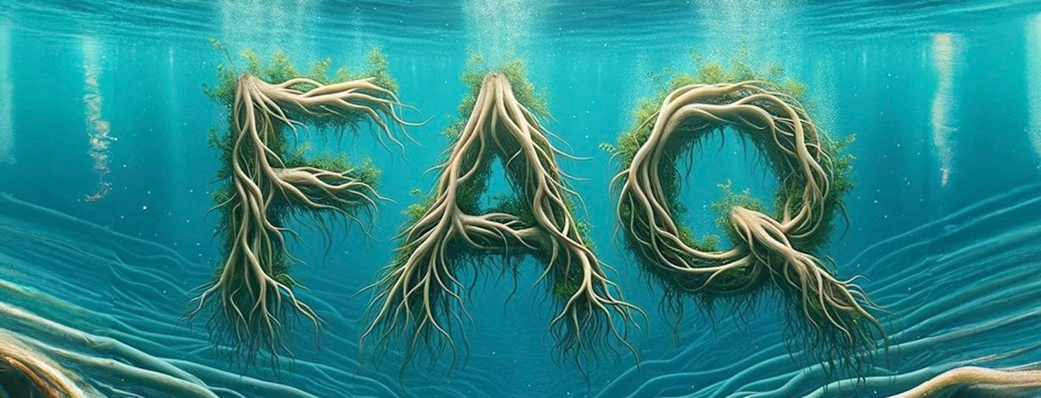 Hydroponics FAQ - 2023 - A-Grade Hydroponics