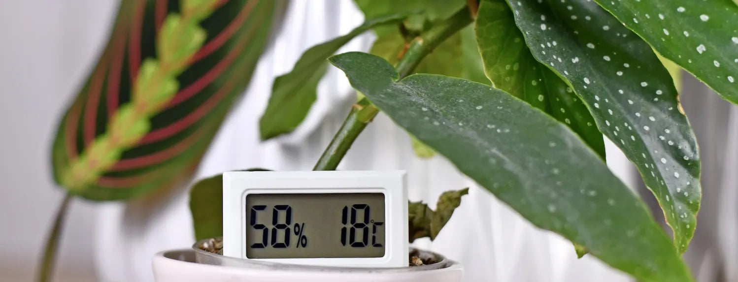 Digital hygrometer showing 58% humidity and 18°C beside indoor hydroponic plant leaves, illustrating ideal grow room temperature and humidity control for healthy plant growth